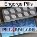 Engorge Pills 34